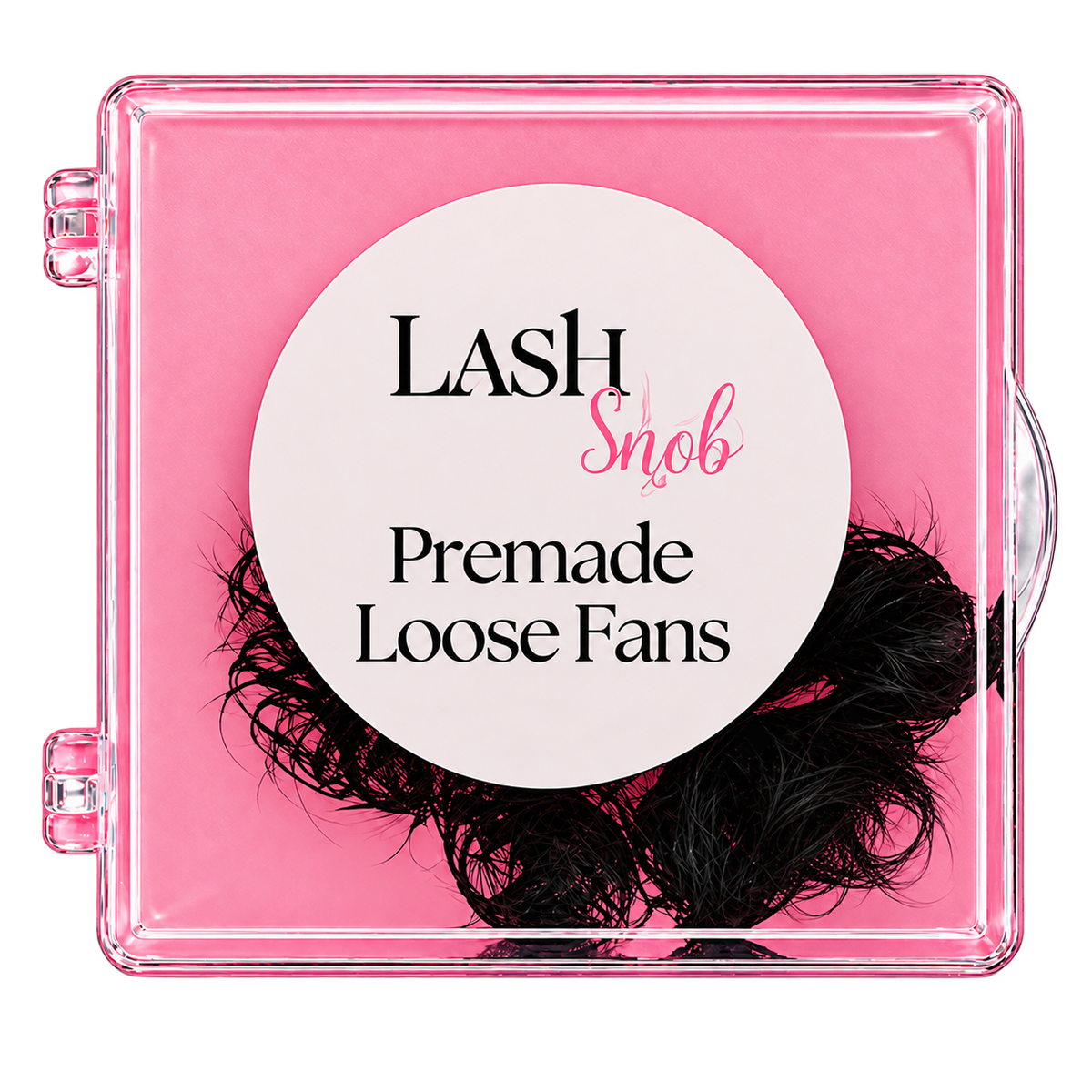 Loose Premade Fans Pointy Base 3D